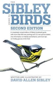 Identification Birds Of New Jersey Field Guide Distinguishing Black Capped And Carolina Chickadees Field Guide Birds Bird Guides