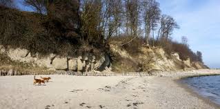 Urlaub mit hund ostsee eingezäunter garten. Mit Hund An Die Ostsee Das Strandhaus