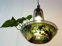 Xdesign Plant Lamp Air Filter Green Lamp Lamp Planters Plant Lighting