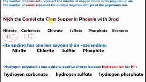 {nick= nitrate, cl=clourine} and count the number of consonants, that is how many oxygens there are. Polyatomic Ions Final Youtube