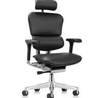 Raynor Group Ergohuman High Back Leather Executive Chair in Black