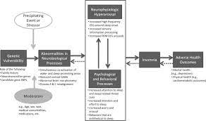 Insomnia Ensiklopedia Beranisehat