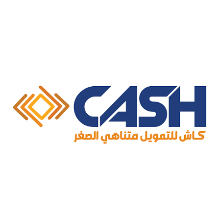 شركة كاش للتمويل متناهي الصغر- فرع المنيا في المنيا
