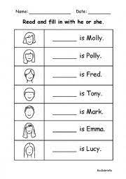 Use of she and he. He She Worksheets