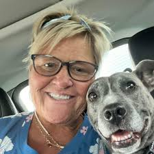 Where can I find someone to assemble my e-bike in Wellen Park, Florida?