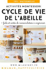 Ief Maternelle Coschooling Livres Et Activites Sur Les Abeilles En 2020 Ecole A La Maison Montessori Maternelle Science Montessori