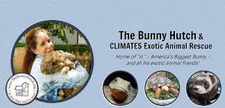 Amusement rides and video arcades keep. The Bunny Hutch Virginia Beach Exotic Animal Rescue