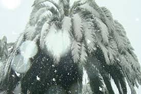 „alles was nicht in den klimawandel passt ist wetter. Spanien Schnee Und Flugausfalle Durch Sturm Filomena