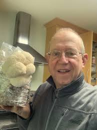 Growing lions mane mushrooms at home