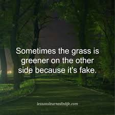 The Grass Is Always Greener On The Other Side Because It S Fake Pin By Dana Simmons On Quotes Lessons Learned In Life Silly Quotes Lessons Learned