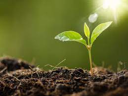 This standard provides guidance for organisations and consultants seeking to produce vegetation maps in nsw that maximise alignment with biodiversity conservation act (nsw. Government Creates A Department For Regional Nsw Inside Waste