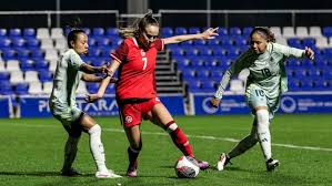 Firefighters extinguish Bell Aliant van fire