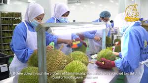 Says sdn bhd is a company based in petaling jaya, malaysia, that operates the web site says.com. Fruit Generation Industrial Sdn Bhd Company Video Mandarin English Subtitle High Resolution Youtube