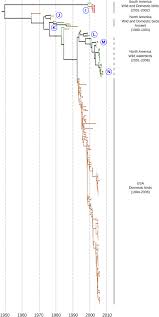 North and south may refer to: Maximum Clade Credibility Tree For The North South American Genetic Download Scientific Diagram