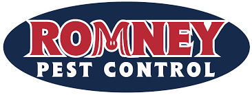 After a short walk around the house, the cause was found: Thousands Of Pest Control Reviews To Help You Find The Best Pest Control Service In Oak Point It S Easy To Find A Great Local Company To Protect Your Home