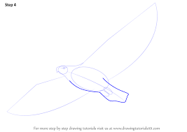 Step by step drawing tutorial on how to draw an eagle flying it belongsto the prey family. Learn How To Draw An Eagle Flying Birds Step By Step Drawing Tutorials