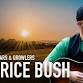 Maurice Bush
