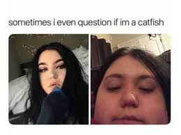 28 Catfish Memes That Will Make You Laugh Every Single Time Ladnow Memes Sarcastic Funny Relatable Memes Haha Funny