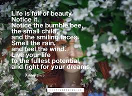 The beautiful and damned is the second novel, published by f. 27 Quotes About Beauty To Boost Your Self Esteem