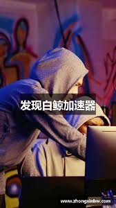 白鲸加速器官网 | 极速连接，智能加速