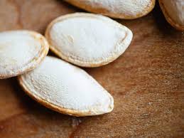 Place the lid on the container. Germinate Seeds Quickly With Coffee Filters Or Paper Towels Garden Betty