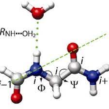 Check spelling or type a new query. Drawing Of A Water Molecule Hydrogen Bonded To The N H Group Of Download Scientific Diagram