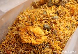 Marigold flower benefits in various forms like medicinal and ornamental uses. How To Use Calendula Flowers In Skincare Lovely Greens