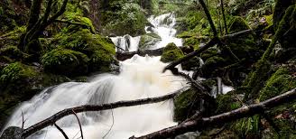 Cataract falls is one of the most popular falls trails in marin county within the san francisco bay area. Waterfall Hunting Cataract Falls Marin County Smiling In Sonoma
