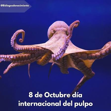 Día internacional del pulpo