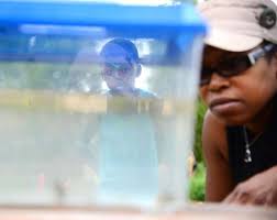 Images: What sounds do you hear when you look at pictures?