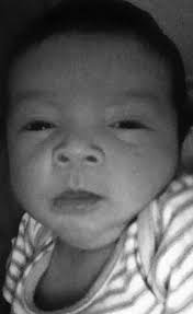 NN 10.18.12 layoutdiana_Layout 1