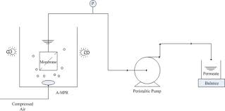 Environmental Impact Of Nanomaterials In Composite Membranes