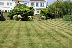 The taller the striper height is, the more enhanced effect you'll get. Striping Kit For Lawn Mower Worth It Or Waste Of Money Lawn Chick