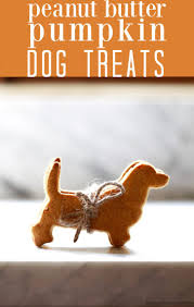 In a medium bowl, use a hand mixer to fully combine the oat flour, banana, peanut butter, egg, and crumbled bacon. Homemade Pumpkin Peanut Butter Dog Treats Recipe