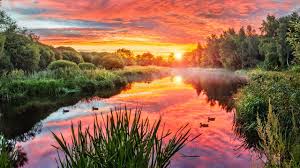 Beautiful Instrumental Hymns Peaceful Music Piano Flute Great Is Thy Faithfulness Tim Janis Youtube