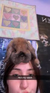 Copenhagen travel and ancestral connections