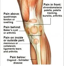 Pin On Health