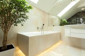 Tidak hanya untuk tanaman hias di taman depan, tanaman ini juga cocok untuk taman indoor. Beberapa Jenis Tanaman Yang Cocok Di Kamar Mandi Rumah123 Com