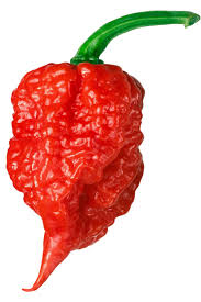 Carolina Reaper Hottest Pepper In The World All About It
