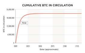 Read here about the bitcoin price predictions for the next years. A Gentle Introduction To Bitcoin Bits On Blocks
