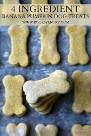 Healthy Homemade 4 Ingredient Banana Pumpkin Dog Treats Recipe Dog Biscuit Recipes Healthy Dog Treats Homemade Homemade Dog Cookies