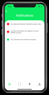 TIMS Presentation (2022)