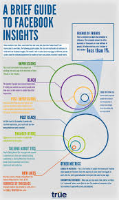A Brief Guide To Facebook Insights Video Marketing Infographic Social Media Infographic Facebook Marketing Strategy