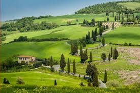 We did not find results for: How To Plant And Grow The Italian Cypress Tree Italy Magazine