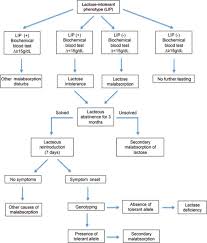 Image result for Lactase Deficiency