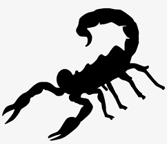 Download Png Cartoon Scorpion Free Transparent Png Download Pngkey Brown scorpion art, scorpion cartoon illustration, scorpion, animals, happy birthday vector images png.