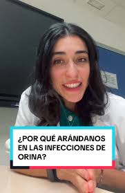 ¿POR QUÉ ARÁNDANOS EN LAS INFECCIONES DE ORINA?