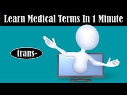 Learn What The Prefix Trans Means In Medical Terminology Youtube For More Medical Prefixes And Suff Medical Terms Medical Transcription Medical Terminology