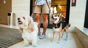 Brooklyn heights has unbeatable subway access, but feels worlds apart. Using Dna To Fight Dog Owners Discourtesy In Brooklyn The New York Times