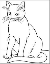 Gambar mewarnai kucing terbaru gambarcoloring.sketsa gambar hewan merupakan gambaran kasar dari gambar hewan yang biasanya berupa garis yang belum selesai atau belum diberi warna. Kucing Gambar Mewarnai Hewan Lucu